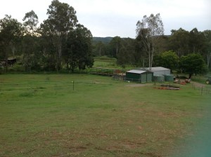 The view from the verandah